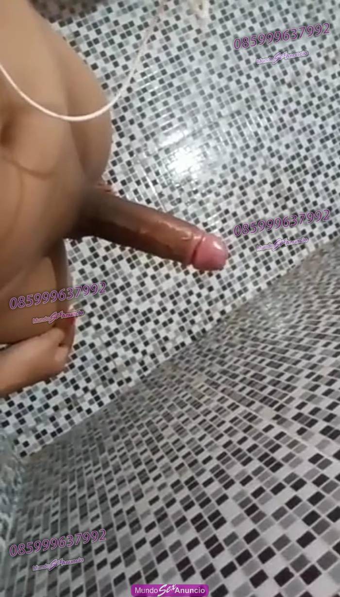 Trans pau de cavalo .so video chamada e videos em Brasília - DF, Distrito  Federal - 85999637992