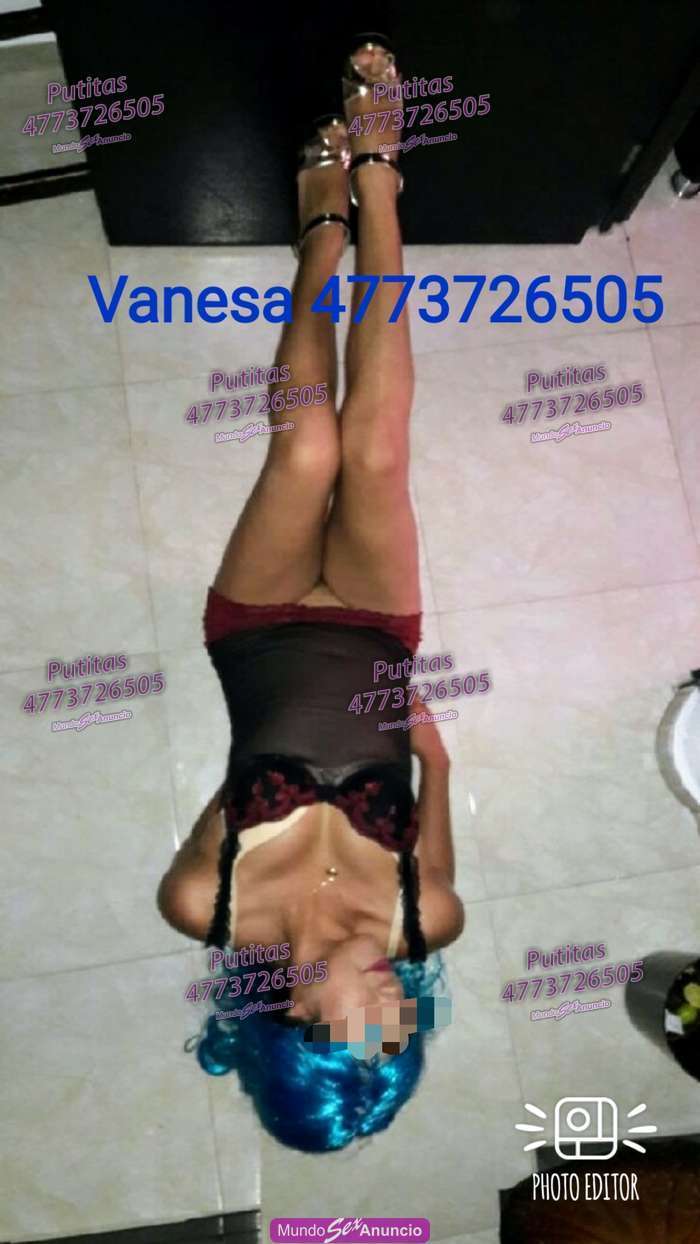 Putas escort león gto tengo intalaciones en León, Guanajuato - 4773726505